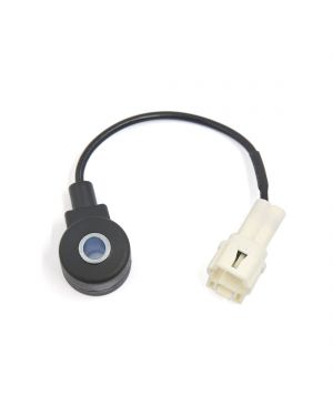 Front Knock Sensor w Harness for Subaru Legacy Forester Impreza 22060-AA061